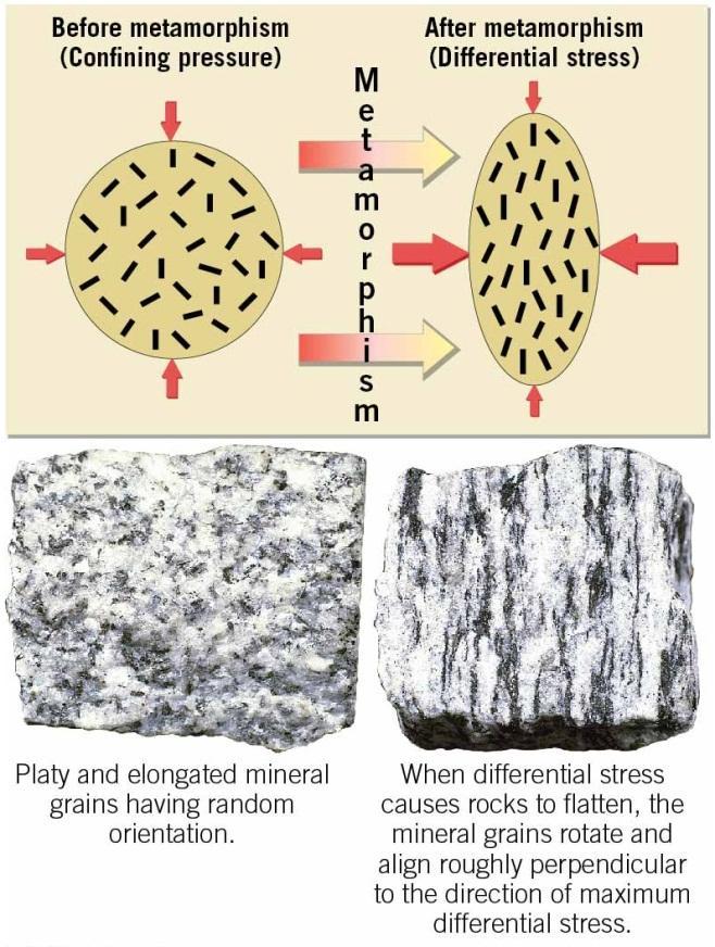 Metamorphic Rocks: New Rock from Old Foliation is