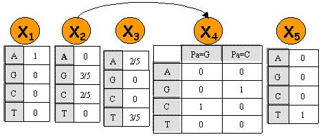 32 Computational Genomics c Tel Aviv Univ. Figure 8.14: Bayesian network produced using the training set on table 8.9.