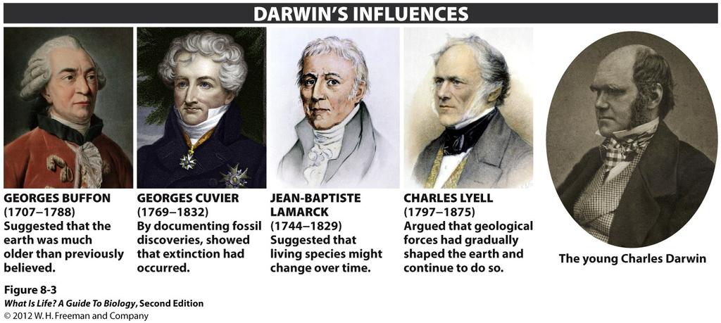 History of Evolutionary Thought Charles Darwin drew upon the work