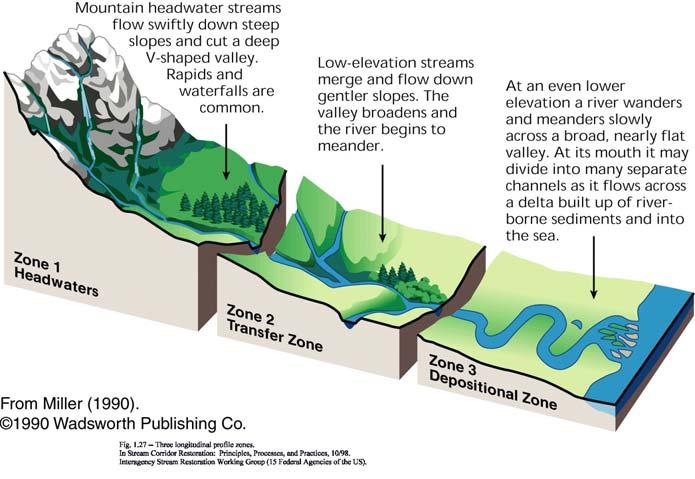 Concept of Equilibrium Three Laws of Stream Restoration #1 There is no cookbook approach to stream