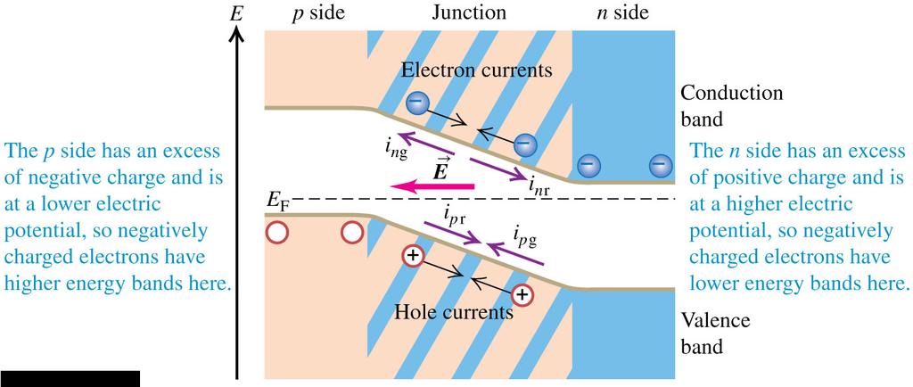 Currents through a p-n junction Follow the text analysis of currents