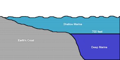 Marine Environments shallow marine water up to about 700 feet deep deep marine water
