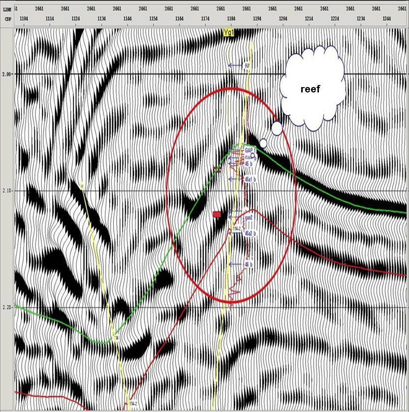 (1) The reflection characteristics of seismic section with the reef complex in the study area are mound-shaped and show lenticular reflection.