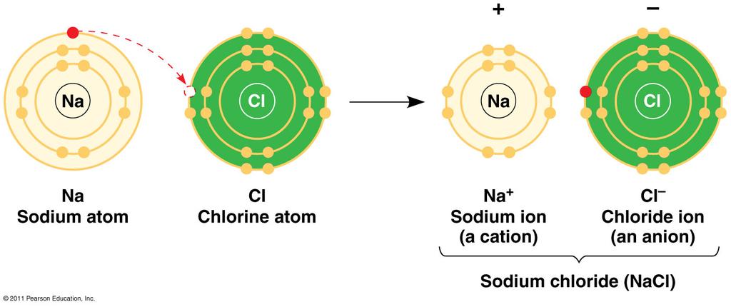 Isotopes- atom that has an unstable nuclei that decays and breaks down at a continuous rate. o Used to date life, follow atoms through chemical processes, etc.