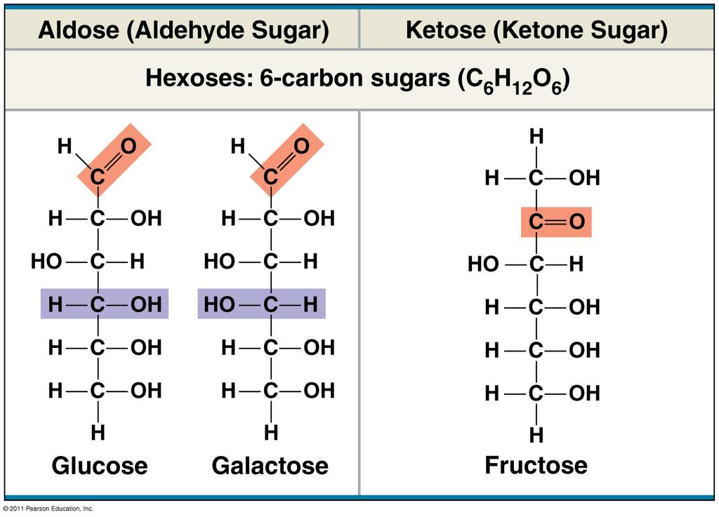 CARBOHYDRATES Carbohydrates- made up of monosaccharides, generally has molecular formula. (- ose). Carbohydrates provide for cellular processes. o Sugars frequently contain and.