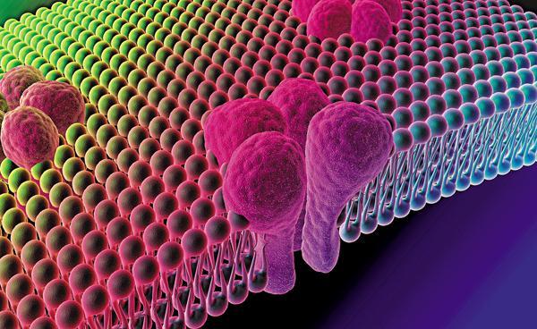 Nanofluidics for desalination NanOasis carbon nanotubes = high water flux, selective pores use existing membrane fab techniques NanoH2O zeolite nanoparticles =