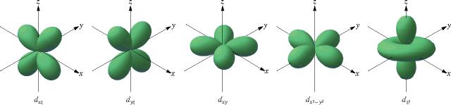 Most d orbitals are shaped like a cloverleaf These are the