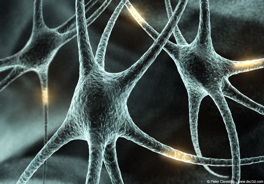 TYPES OF CELLS Branching Cells Nerve Cells Shaped like