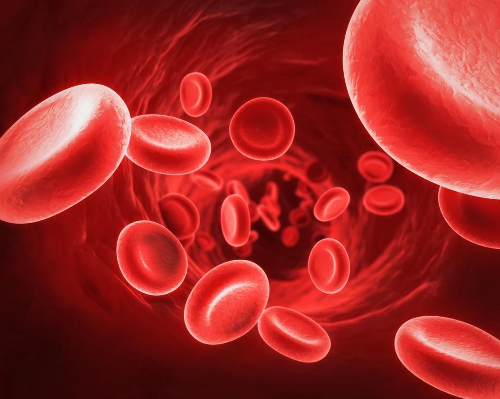 TYPES OF CELLS Round Cells Red Blood Cells The