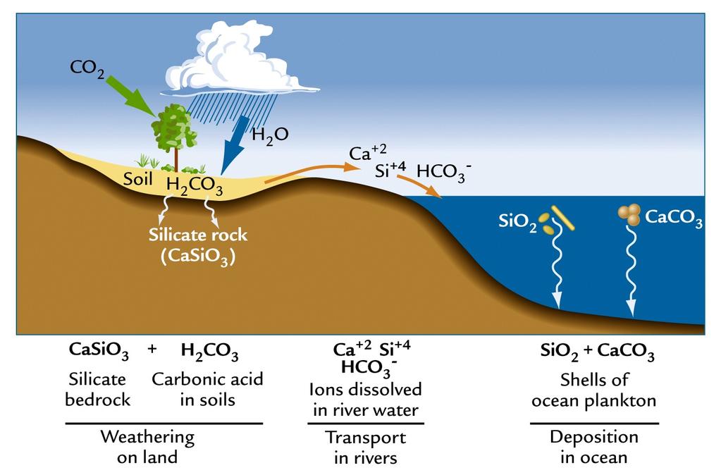 Chemical Weathering Removes CO 2 from Atmosphere Hydrolysis of silicates (granite)