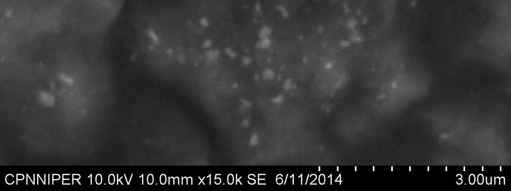 3 Zeta potential analysis Fig 6. SEM images showing silver nanoparticles at 2.00 µm (Fig no.