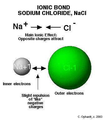 Ions An anion Is negatively charged