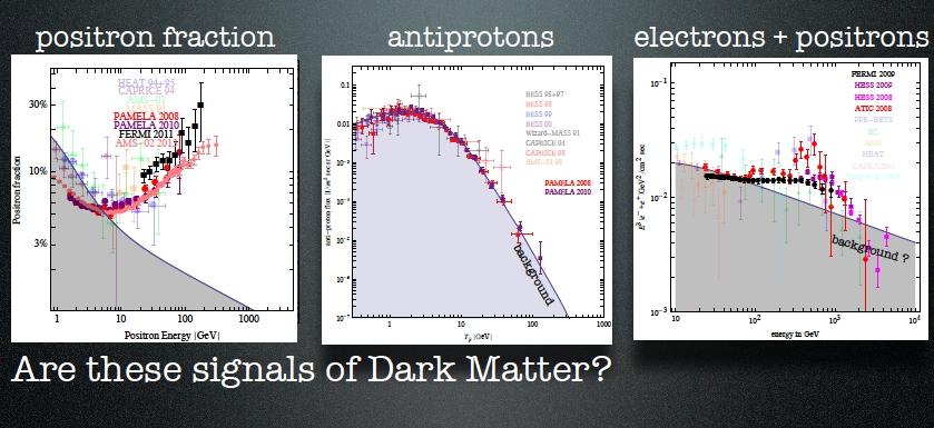Dark Matter interpretation