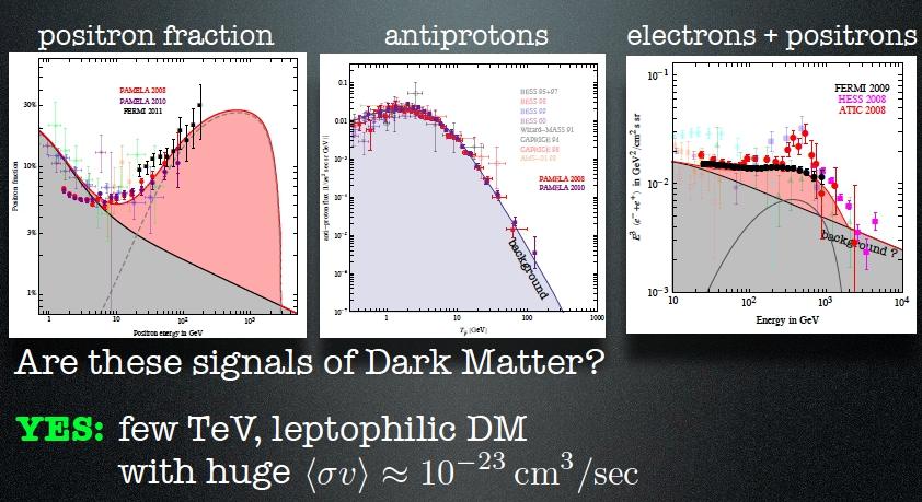 Dark Matter interpretation