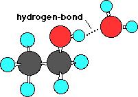 (9) 7. Of the following molecules: CH3 CH OH, CH 3 OCH 3, CH 4, NH 3, F CHEM 15 EXAM II PAGE 4 a) Which can hydrogen bond to other molecules of the same kind?