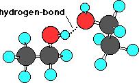 CH 3 CH OH, CH 3 OCH 3, NH 3 c) Using Lewis structures draw an example and label the hydrogen bond for one of the compounds you selected in part a) and one of the compounds you selected in part b)