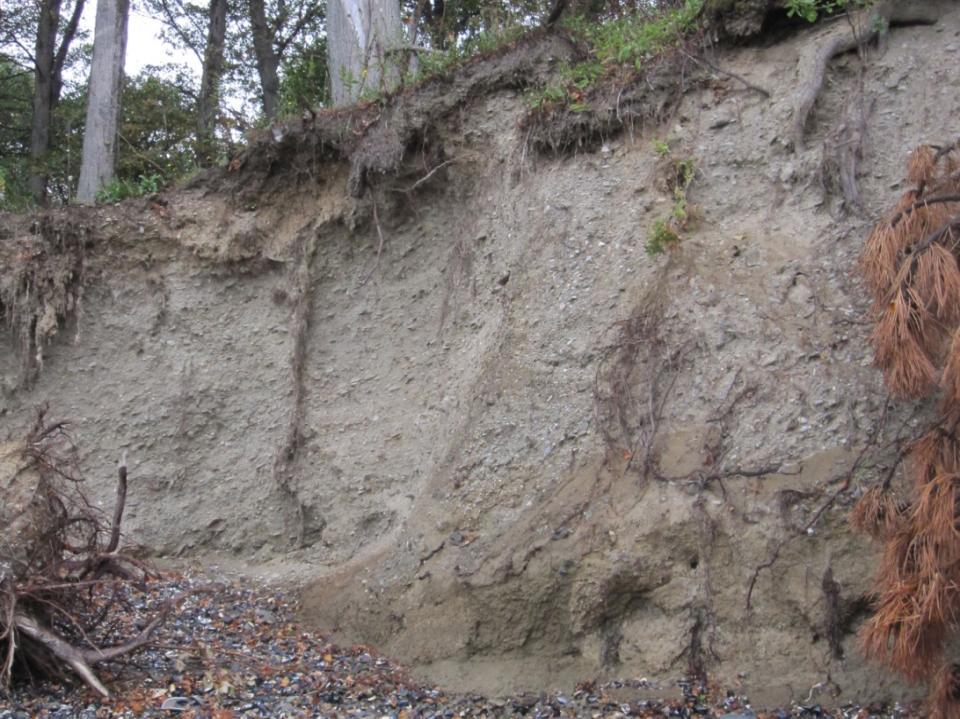 Erosion Sea level rise Increased storms and rainfall