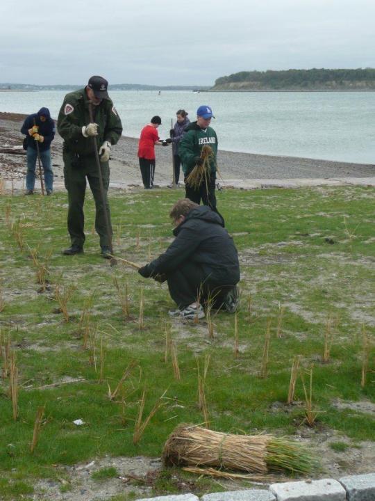 Hands-On Help Volunteer with the Stewardship program Fight invasives Identify and count birds Phenology studies
