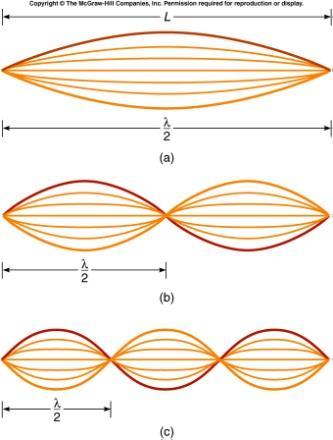 Summary of Chapter 15 v = λ/t = fλ Transverse or longitudinal Standing waves Fundamental f = v/λ = v/2l 2 nd Harmonic f = v/λ = v/l 3