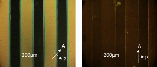 (a) (b) (c) Figure 7. Images of the LC Fresnel lens recorded by a CCD camera.
