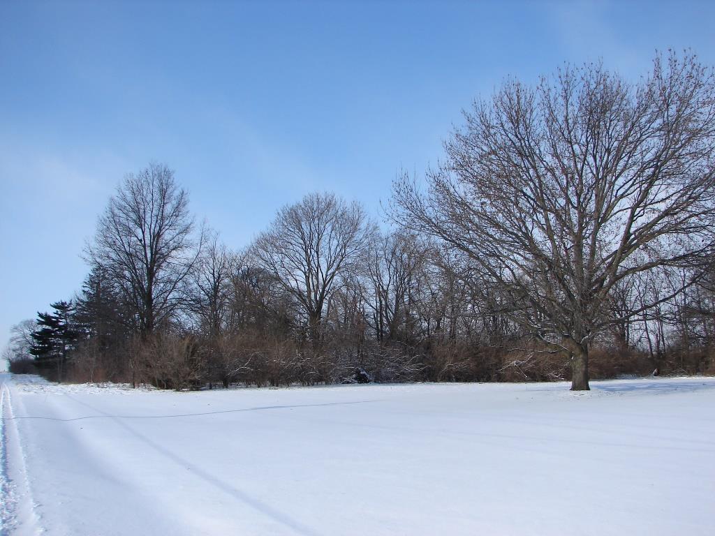 Pictured above is the cold, snow covered afternoon of the 15 th.