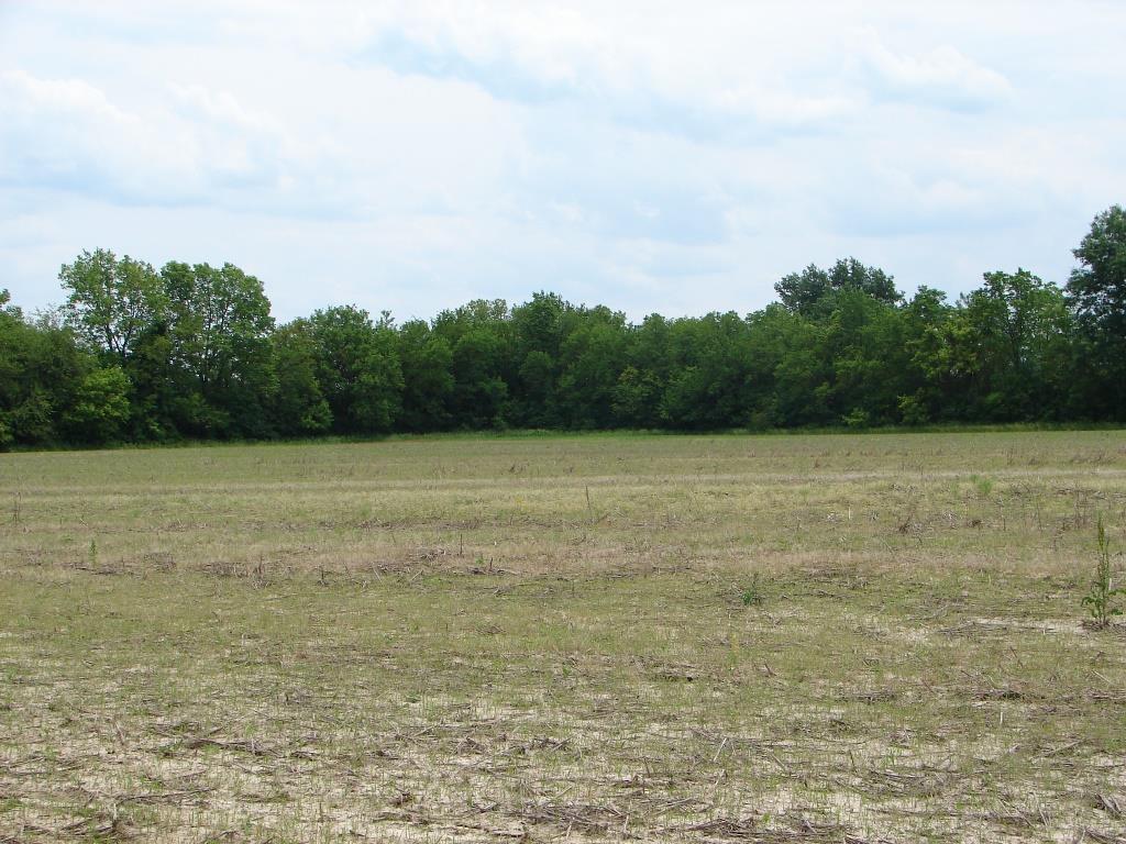 Pictured above is a dry field on the 1 st immediately south of the Indianapolis Weather Office just