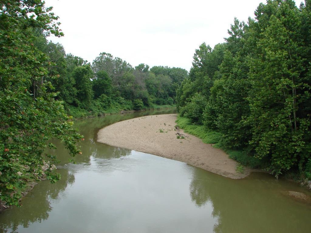 Pictured above is the upstream view of White Lick Creek at SR 42 immediately west of Mooresville on the 5th. The stream level was 7.7 feet and somewhat muddy from recent rains on the 3 rd.