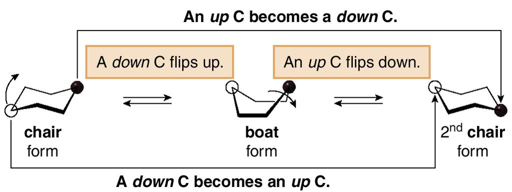 An important conformational change in cyclohexane involves ring-flipping. Ring-flipping is a two-step process.