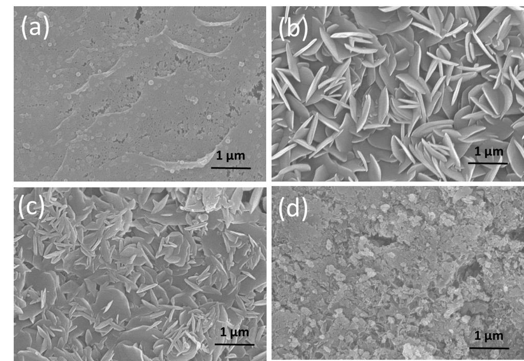 Fig. S5. Effects of different ph value of PEI-Zn(II) complex solutions on membrane surface morphology: (a) ph 5, (b) ph 6, (c) ph 7, (d) ph 8. Fig. S6.