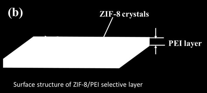 membrane, PEI-Zn(II) complex membrane, (c) XRD pattern of the