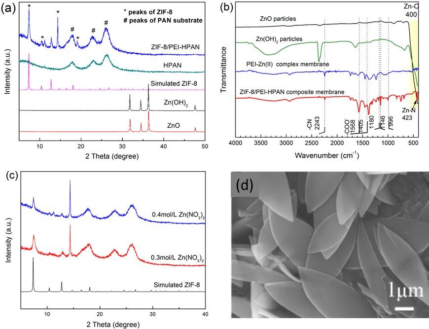 concentrations and (d) leaf-like ZIF crystals from the literature