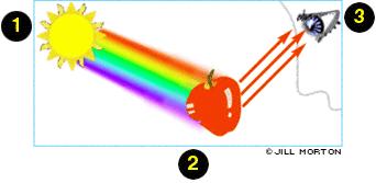 How Do We See Color? 1. Sun emits light at all wavelengths (white) 2.