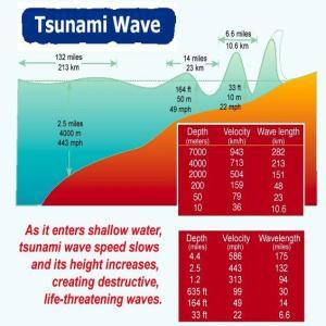2-Dimensional Waves Speed varies with respect to the depth Small depth, small speed and vice versa Amplitude varies with respect to the depth Small depth, big amplitude Tsunami Tsunami Warning On