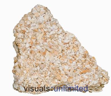 Rock Salt, Rock Gypsum and Dolostone are produced in this way. Dissolved minerals can also form rocks when water evaporates leaving Rock Salt or Rock Gypsum behind.