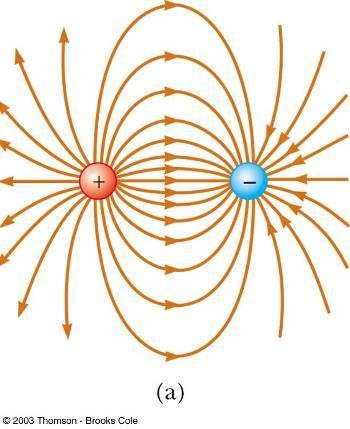 If the two charges above were placed near each other so that their electric fields could interact, the resulting field lines would curve away from the positive charge and back towards the negative
