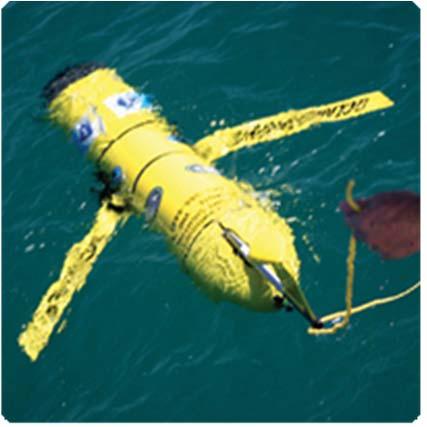 Gliders/AUV Intermediate: provides large spatial coverage for extended periods