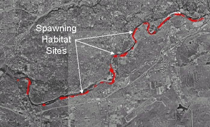 High bluffs are present on either side of the channel at many locations. Large point bars and mid-channel bars are present in this reach and the bed is composed of gravel and cobble.