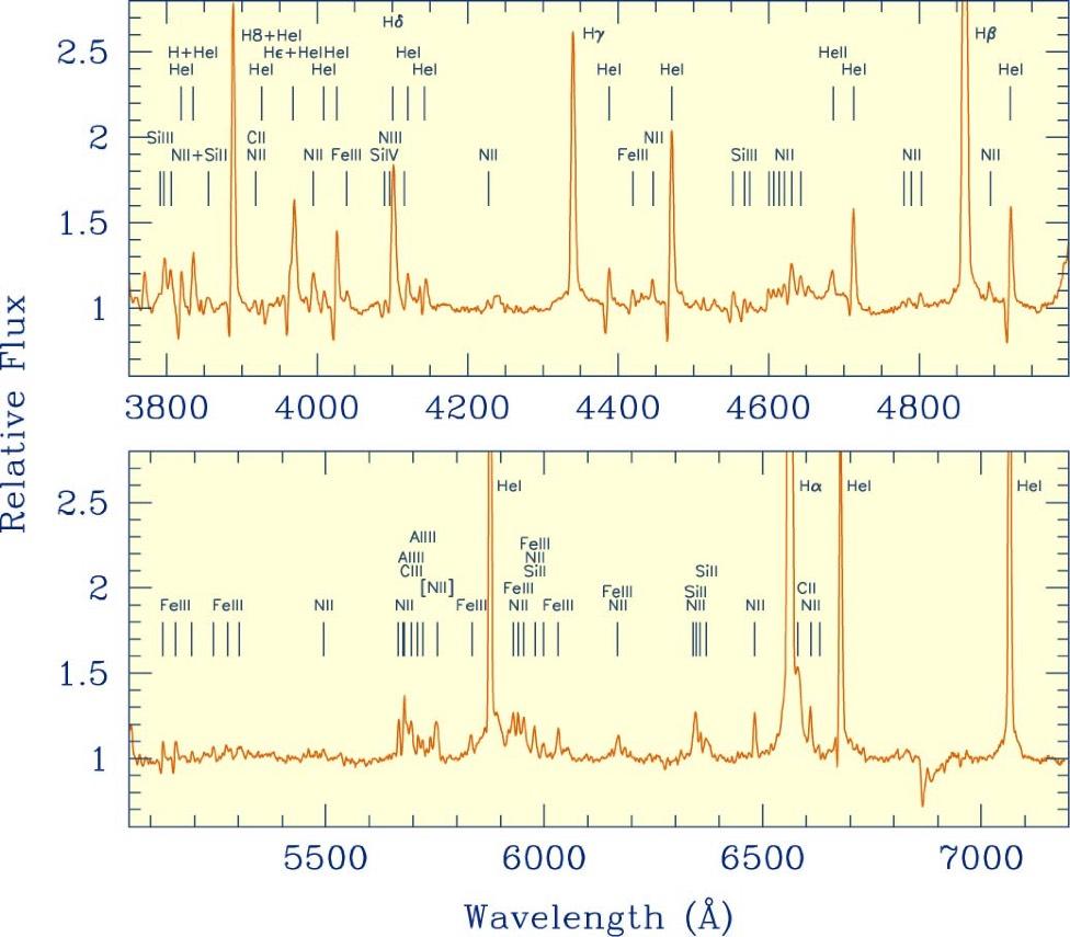 WN11 star (Wolf-Rayet subtype) emission line diagnostics: first detailed abundance