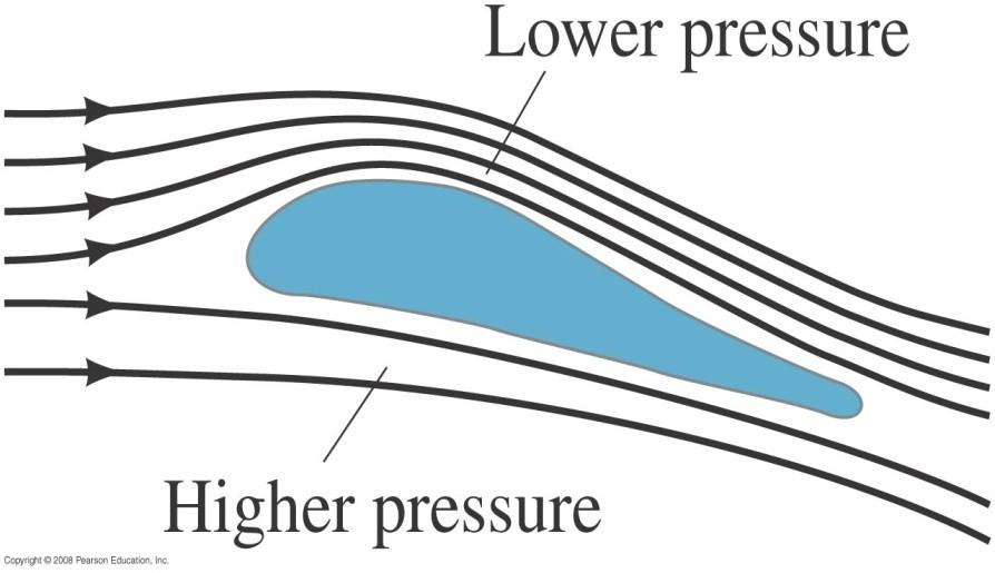Bernoulli s principle: When the height y doesn t change much, Bernoulli s equation becomes OR : v v v constant Lift on an airplane wing is due to the different air speeds and