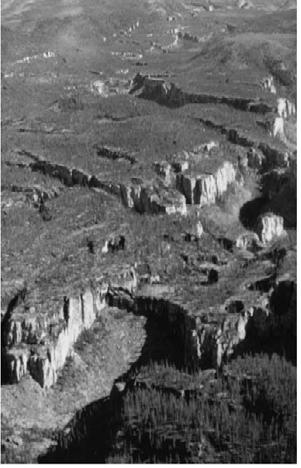 Pinnacle karst: is dominated by large Spitzkarren This is an area of grey limestone pillars.