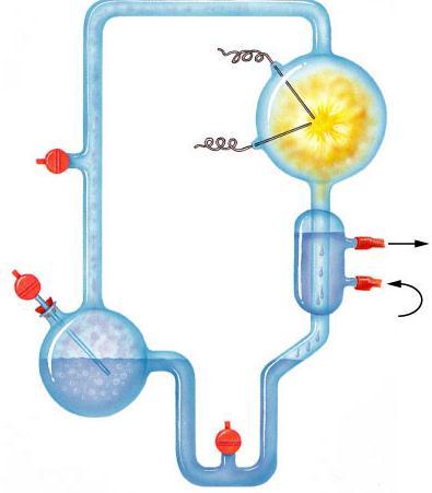 Origin of Organic Molecules Abiotic synthesis 1920 Oparin & Haldane propose reducing atmosphere hypothesis 1953 Miller & Urey test hypothesis formed organic compounds amino acids adenine Water