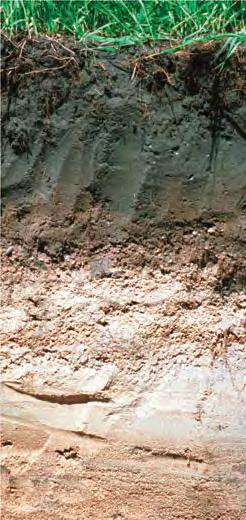 Soil Texture The texture of soil depends on the sizes of its particles. Soil particles can range from coarse sand (0.02 2 mm in diameter) to silt (0.002 0.