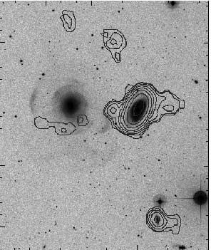 2470 HOWELL Vol. 131 TABLE 1 Merger Remnant Galaxy Sample Name (J2000.0) (J2000.0) T Type r e arcsec S/N Observed NGC 474... 01 20 06.70 +03 24 55.0 2 33.7 133.9 2000 Nov 27 NGC 1052... 02 41 04.