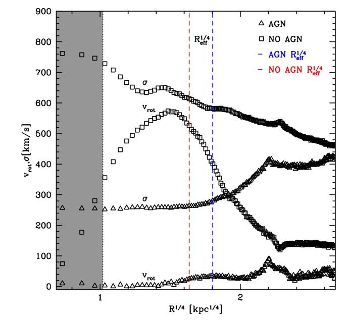 Kinematic properties of the BCG σ in M87 SAURON