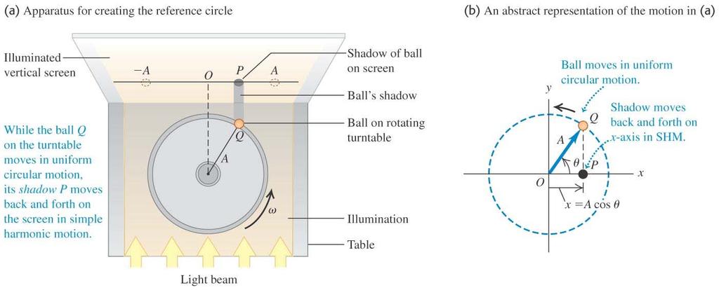 Simple harmonic motion viewed as a projection Simple harmonic motion is the projection of