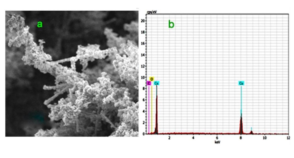 Figure 4.1 UV-visible spectra of aqueous copper sulfate pentahydrate solution mixed with Leucaena leucocephala. B.
