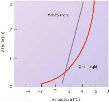 Cooling Radiational cooling creates a