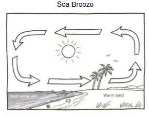 Land Breezes vs Sea Breezes Sea Breeze cool breeze from water to land during the daytime Land heats than water ( specific heat) The air