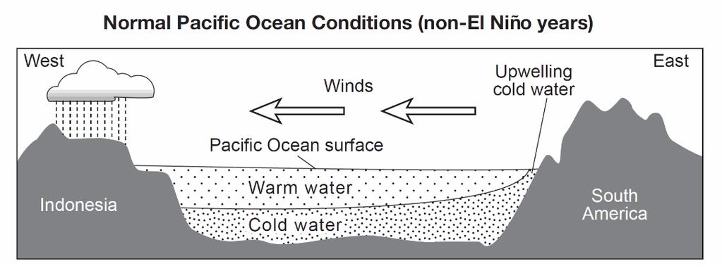El Niño Southern Oscillation El Niño Southern Oscillation (ENSO) variations in the patterns and ocean over the tropical eastern Pacific Ocean.