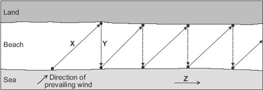 Q11. (i) The figure below shows the process of longshore drift. Write labels for X, Y and Z.